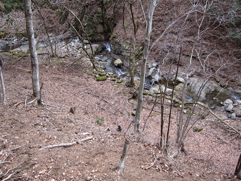 20200204hike (348)